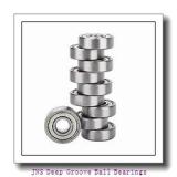 JNS NA 4828 Deep Groove Ball Bearings