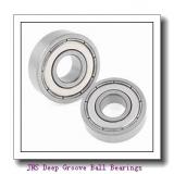 JNS NA 4830 Deep Groove Ball Bearings