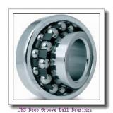 JNS NA 4822 Deep Groove Ball Bearings