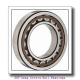 SKF 6324-RS1 Deep Groove Ball Bearings