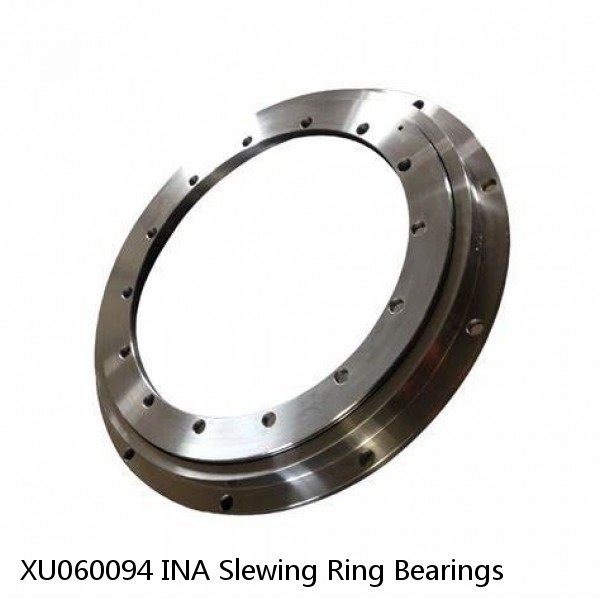 XU060094 INA Slewing Ring Bearings