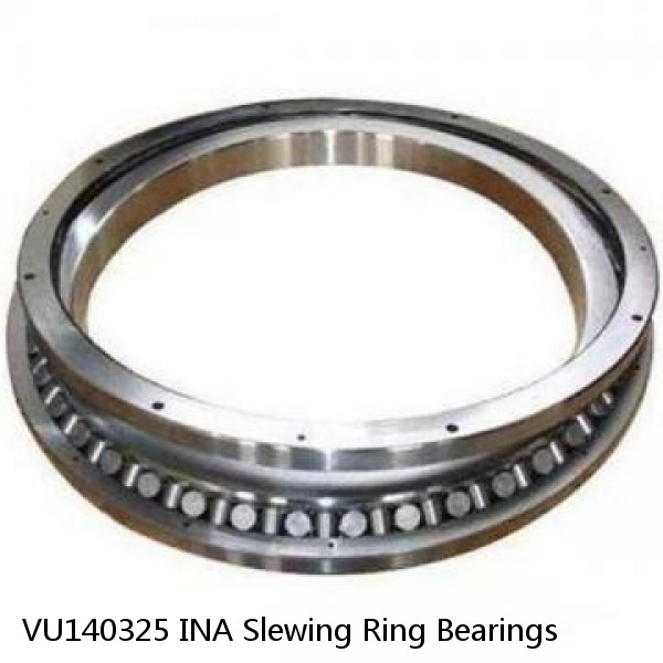 VU140325 INA Slewing Ring Bearings