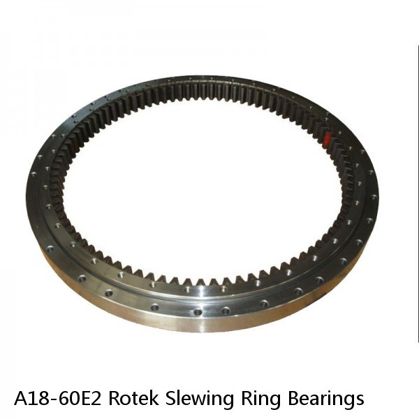 A18-60E2 Rotek Slewing Ring Bearings