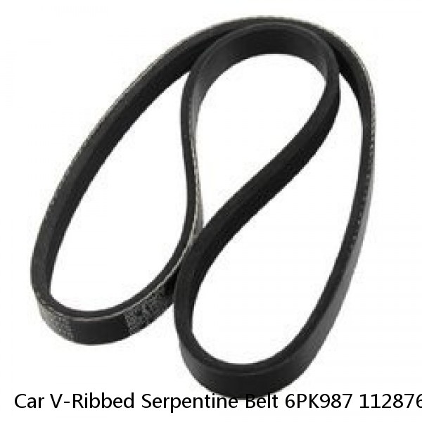 Car V-Ribbed Serpentine Belt 6PK987 11287603348 for BMW 1 Series 2011-2020